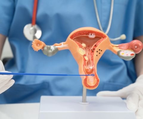 Cirugías Ginecológicas y Obstétricas